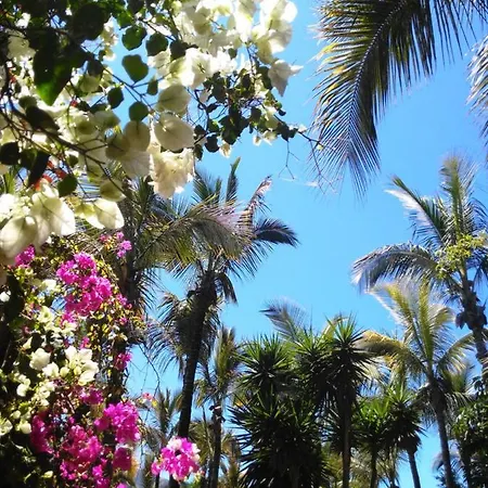 Colina Blanca Tenerife. أذيخي